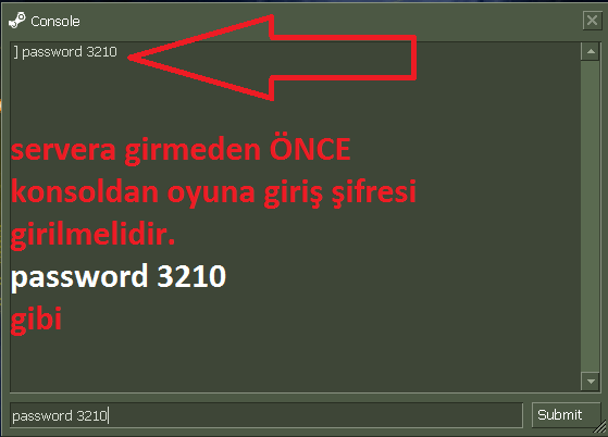 cs 1.6 oyun şifreleri